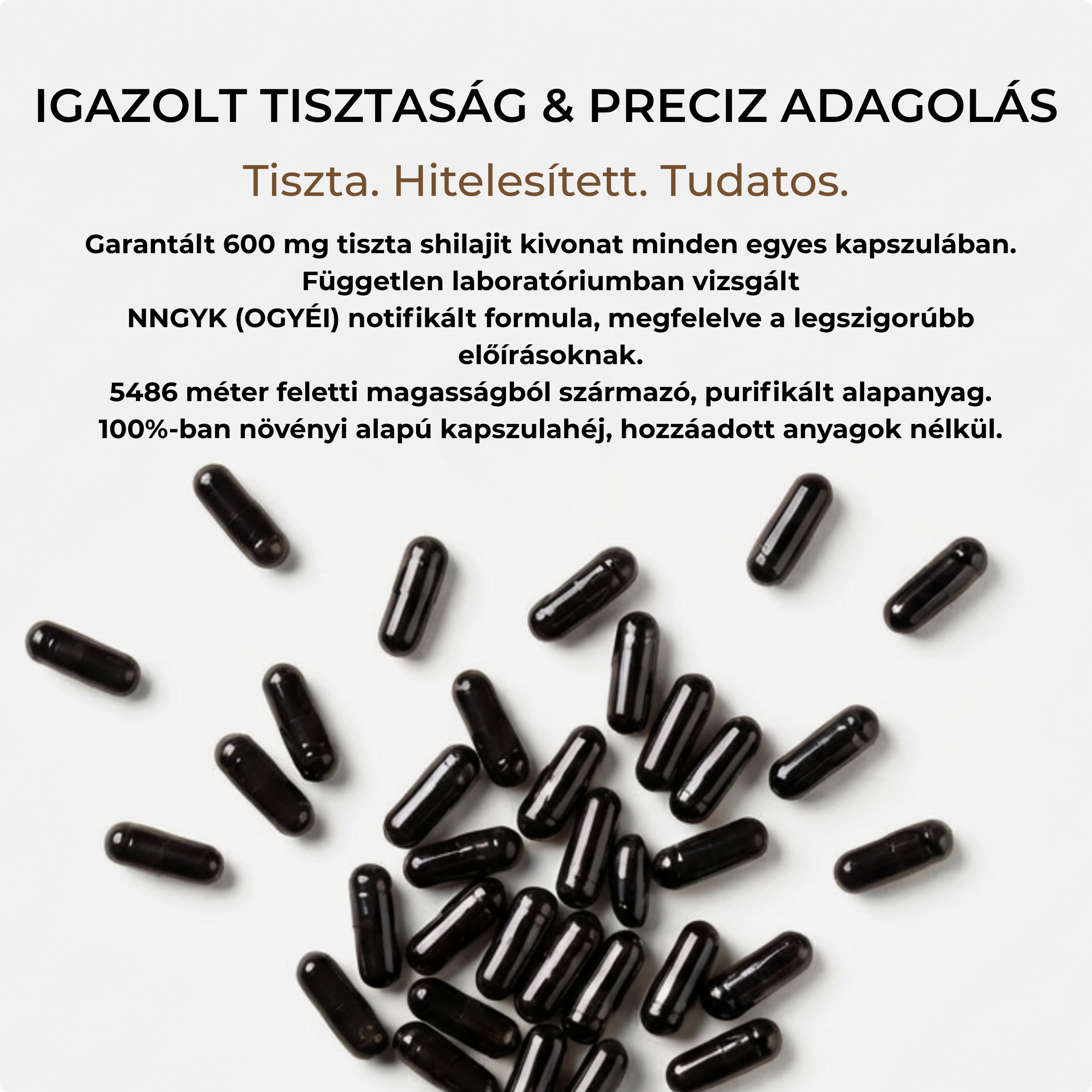 EMPORIA Shilajit Kapszula
