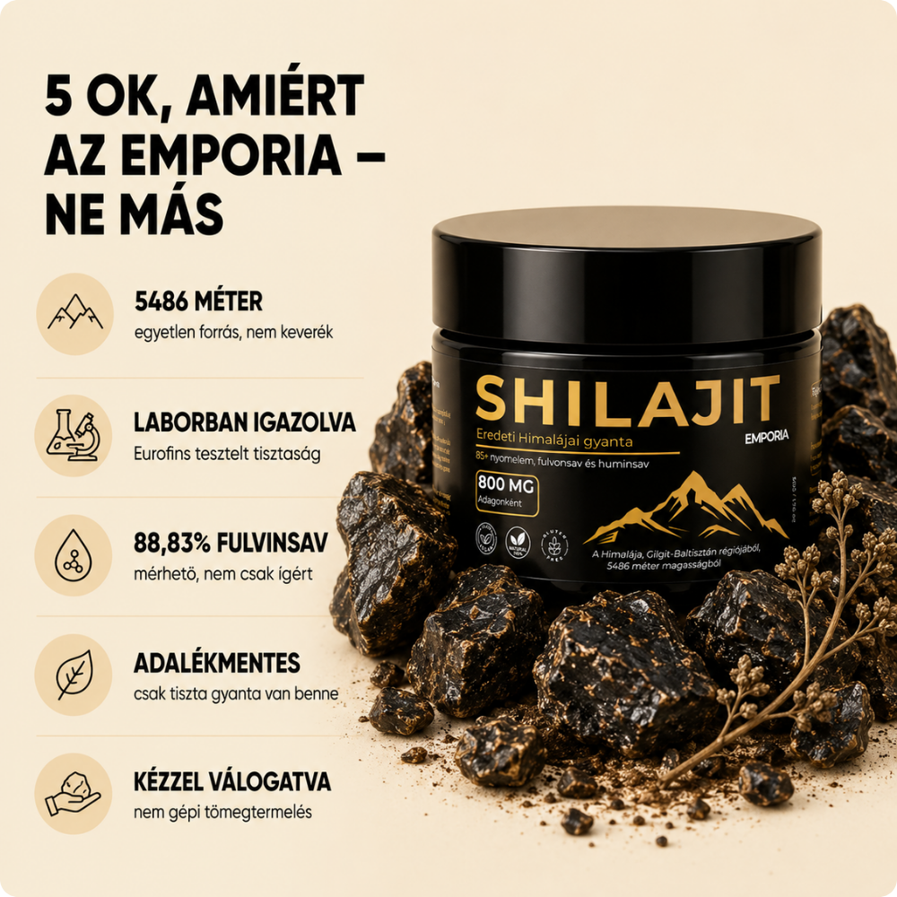Shilajit Gyanta
