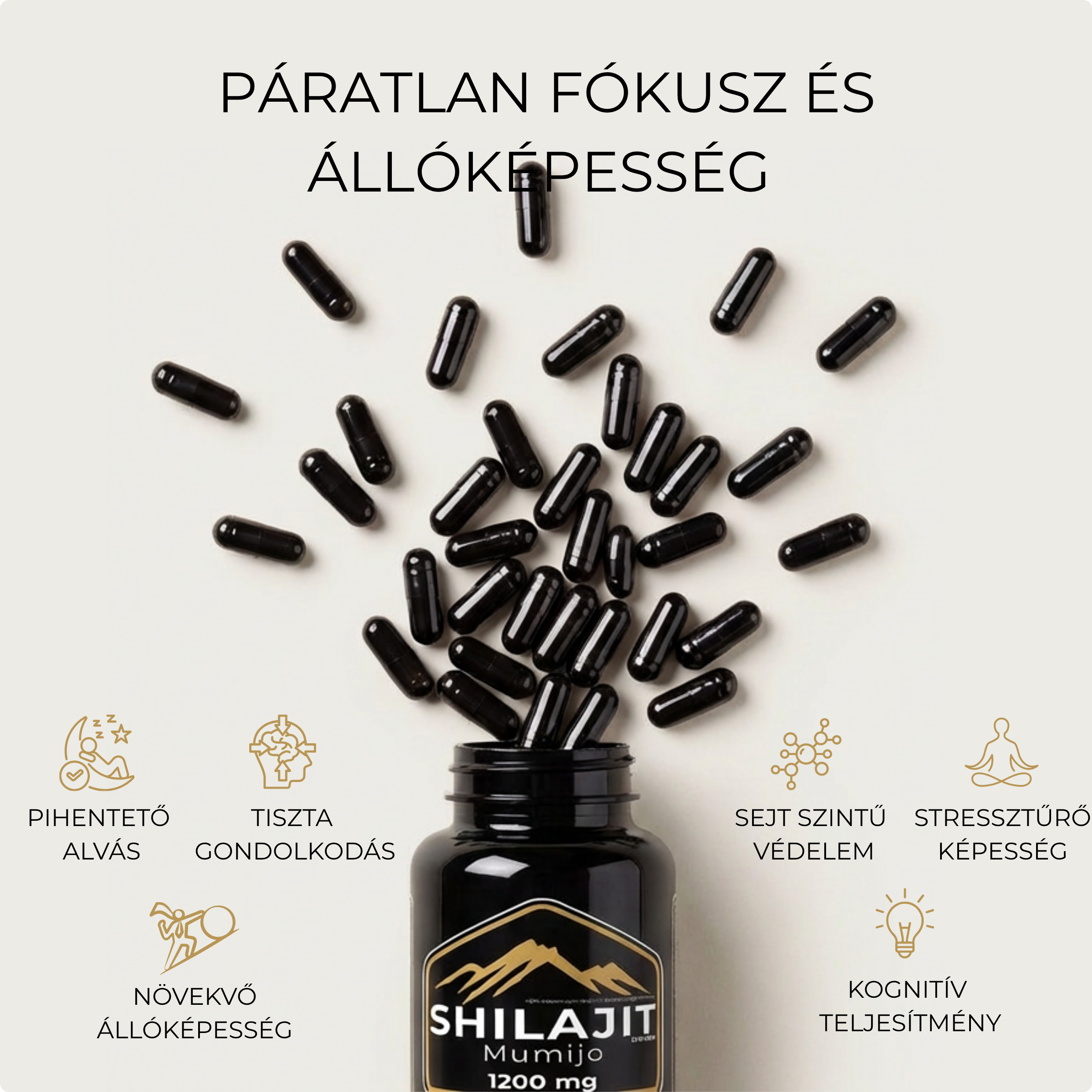 EMPORIA Shilajit Kapszula